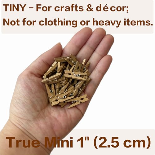 LWR CRAFTS Wooden Mini Clothespins 100 Per Pack 1" 2.5cm (Golden) - color: Golden