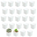 24 Pack 3 Inch White Square Plastic Plant Pots with Saucers,Nursery Seedling Pots with Drainage Hole,Small Planter Containers for Succulents,Flowers,Indoor Outdoor Garden,Home Office Balcony Decor - size: 24 Pack White