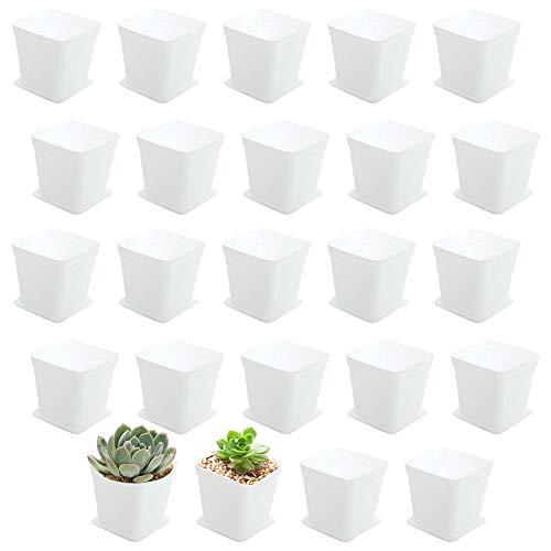24 Pack 3 Inch White Square Plastic Plant Pots with Saucers,Nursery Seedling Pots with Drainage Hole,Small Planter Containers for Succulents,Flowers,Indoor Outdoor Garden,Home Office Balcony Decor - size: 24 Pack White
