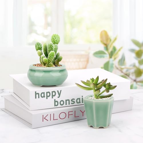 Bonsai Planter Succulent 2.4-2.8" (6-7cm) Mini Green Pots Value Set of 2 - color: Green 2pc
