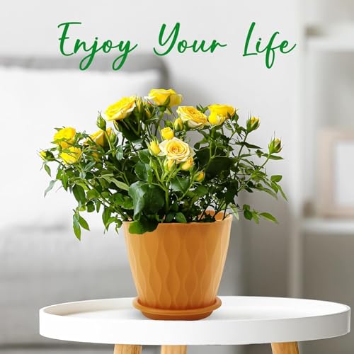 YNNICO 6 inch Plant Pots for Indoor with Drainage Holes and Tray Saucers - color: Multicolor, size: 6 inch