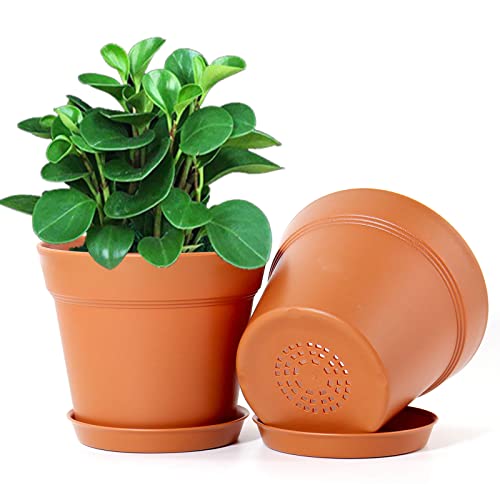 WOUSIWER 16 Pack 6 inch Plastic Planters, Plastic Indoor Planter Flower Pots, Heavy Duty and Stylish 6 Inch Plant Pots for Indoor Plants with Drainage Holes and Tray for Plants, Flowers, Terracotta - color: Red