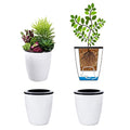 3.5“ Self Watering Planter White Flower Pot, 3 Pcs Small Planter Pot, Mini Plant Pot, for All Plants, Herbs, African Violets, Succulents, Flowers Or Start Plants, White, 3 inch - size: 3.5 Inch