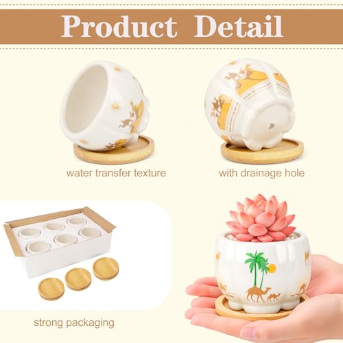 Succulent Pots - 3.1 Inch Small Plant Pots with Drainage Tray, Ceramic Flower Pots for Indoor Plants, 6 Pack Succulent Planters for Cactus Plants, Home Office Decor - color: Mid-e-petal