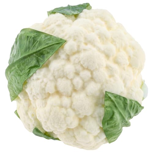 Gresorth 1Pc Artificial Broccoli Fake Cauliflower Vegetable Decoration - color: White