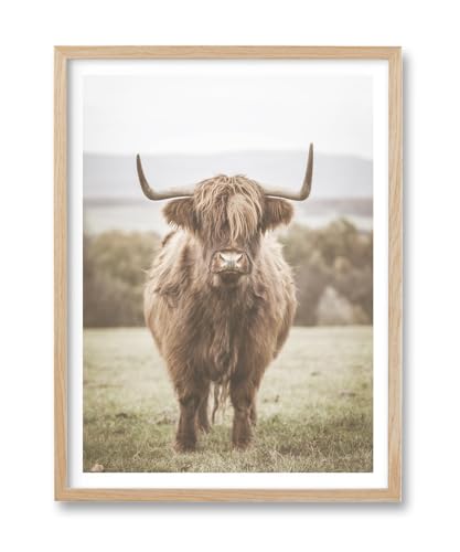 HesenDot Farmhouse Highland Cow Natural OAK Wood Framed Wall Art, 12x16in - color: Framed Highland Cow