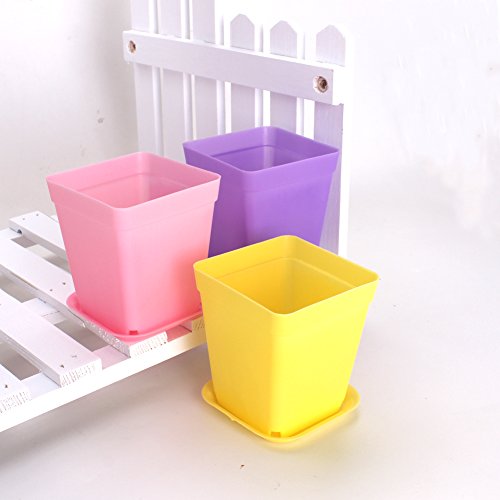 WARMBUY Colorful Plastic Flower Pots with Saucers for Small Plants, Set of 12 (Pack of 2) - size: 2.75 x 2.75 x 3-inch (Pack of 2)