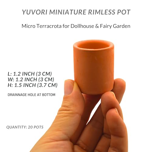 Mini Terracotta Pots – Small Clay Flower Pots for Succulents, Cactus, DIY Crafts, Fairy Garden, School Projects, Mini Planters – Set of 20 (Rimless Cylinder, 1.2 Inch) - size: 1.2 Inch, style: Rimless Cylinder