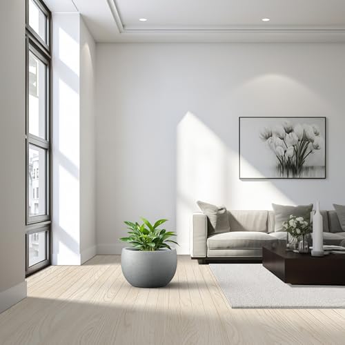 Kante Large Round Bowl Pale Gray Concrete Planter 20" Dia, Outdoor - color: Natural Concrete, size: 19.9" d