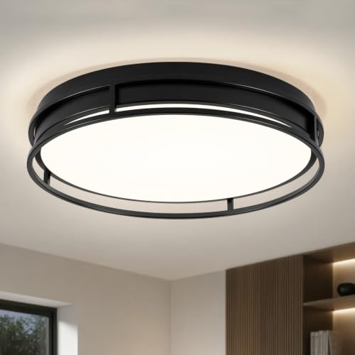 Modern Flush Mount Ceiling Light, Black Dimmable Ceiling Light Fixture - color: Black, size: 16.5in