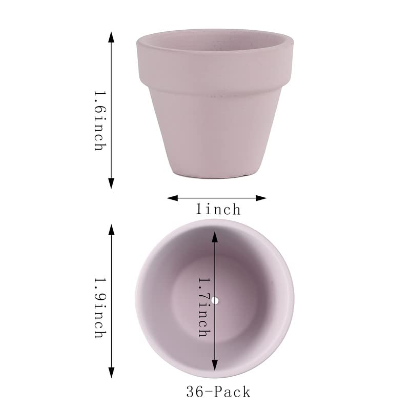 Yishang 1.9 Inch Tiny Pink Terracotta Pots Pack of 36-Small Mini White Clay Pots with Drainage Holes Flower Nursery Terra Cotta Planter for Tiny Cactus,Herb,Succulent Plants,Crafts - color: Pink
