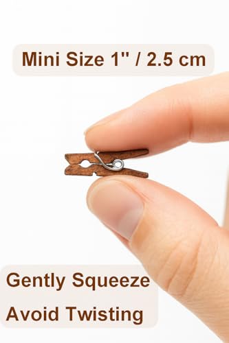 LWR CRAFTS Wooden Mini Clothespins 100 Per Pack 1" 2.5cm (Jacobean) - color: Jacobean