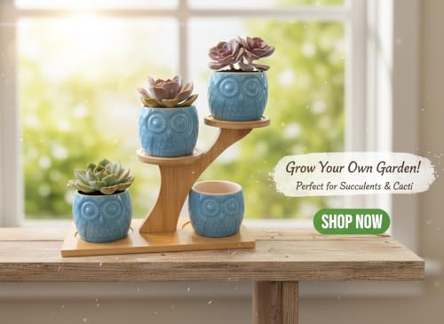 Blisse Wood Owl Planter Set for Home Décor - Blue Ceramic Owl Pots with Wooden Stand, Cute Indoor Succulent & Tabletop Planters for Shelves, Windowsills & Gifts - color: Blue