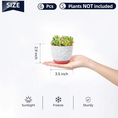 Selamica Ceramic Succulent Pots, 3.5 Inch Small Plant Pots for Indoor Plants Cactus Herbs, Succulent Planters with Drainage Holes & Saucers, Home Decor, Set of 6, Assorted Colors - color: Assorted Colors, size: 3.5 Inch, Set of 6