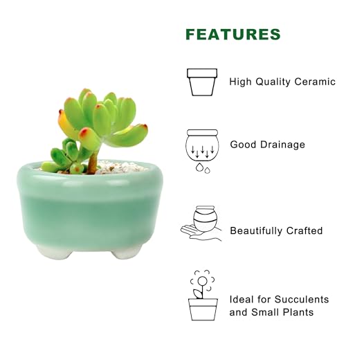 Bonsai Planter 1.8 inch (4.5cm) Mini Succulent Glazed Pots Set of 18 Green - color: Green