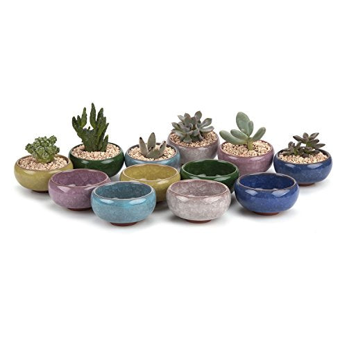 T4U Mini Succulent Pots, Small Shallow Ceramic Pots, Retro Gift Set of 12 - size: Small