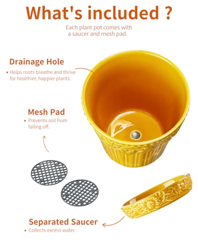 Metahom 5.8 Inch Ceramic Plant Pots, Flower Pots Set of 4, Assorted Colors - color: Assorted Colors, size: 5.8 Inch
