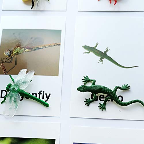 MEROCO Montessori Materials Insects Bugs Matching Game Kids Preschool 3-6 - style: Insect-Animal