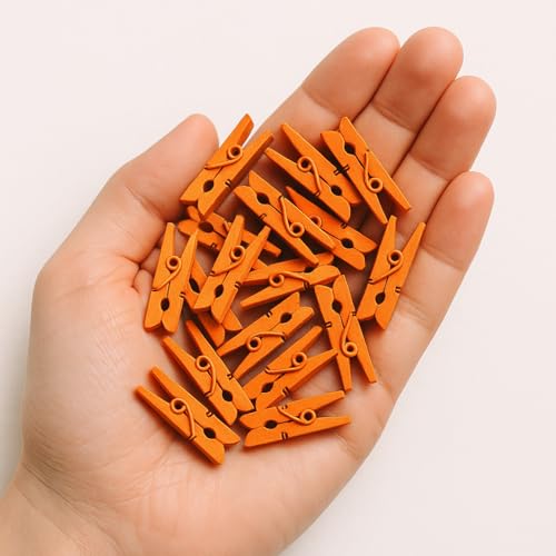 LWR CRAFTS Wooden Mini Clothespins 100 Per Pack 1" 2.5cm (Orange) - color: Orange