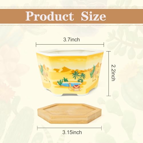 Succulent Pots, 6 Pack Floral Plant Pots with Drainage Tray, 3.7" Small Flower Pots for Indoor Plants, Ceramic Succulent Planters for Cactus, Home Office Decor - color: Mid-e-hexagon-short