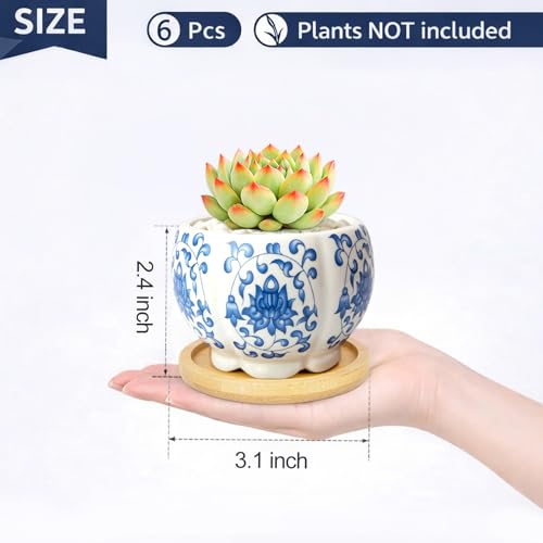 3.1 Inch Flower Pots Succulent Pots with Drainage Bamboo Tray Set of 6 - color: Blue-porcelain-hexagon-petal
