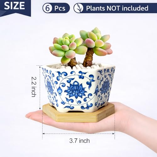 Succulent Pots, 3.7" Small Plant Pots with Drainage Tray, 6 Pack Small Planters for Indoor Plants, Ceramic Flower Pots for Cactus, Mini Succulents, Home Decor, Vintage Blue - color: Blue-porcelain-hexagon-short