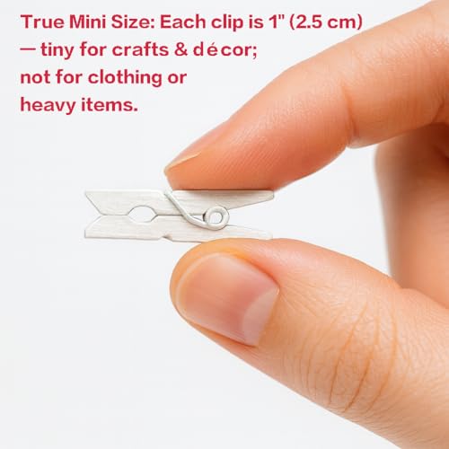 LWR CRAFTS Wooden Mini Clothespins 100 Per Pack 1" 2.5cm (White) - color: White