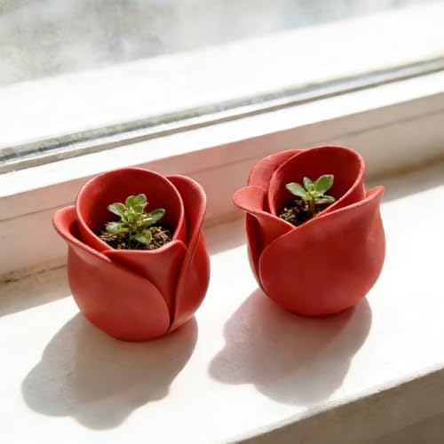 AGLOO Rose-Shaped Succulent Pots – Mini Flower Pots Tiny Planters for Desk Decor,3D Printed Small Cactus Pot for Office or Home, (Set of 2)