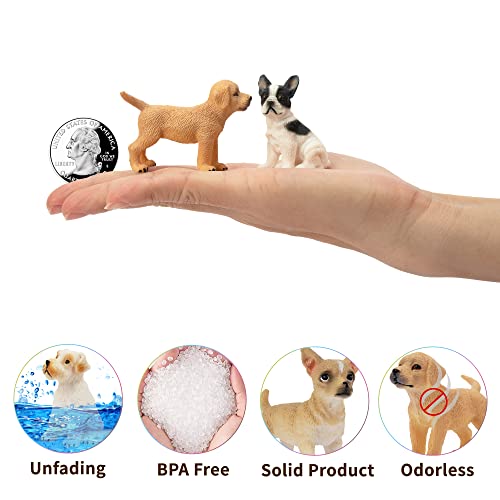Toymany 12PCS Mini Dog Figurines – Realistic Hand-Painted Plastic Puppy Figures, Lifelike Animal Toy Set for Kids, Perfect Cake Toppers & Birthday for Boys Girls 3+ - style: A-Dogs