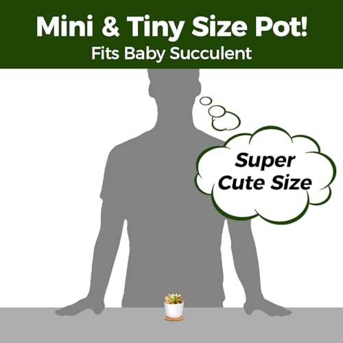 T4U Small Succulent Pots 12 Pack, Mini Flower Planters with Drainage White - color: Round