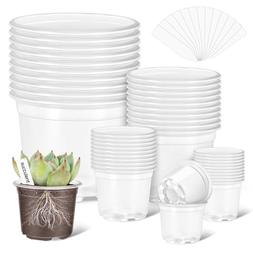 VOKOY 40 Pack 5/4/3/2.75 Inch Clear Nursery Pots with 40 Plant Labels, Clear Plant Pots with Drainage Hole Plastic Transparent Variety Pack Garden Flower Seedling Pot Small Planter Containers - size: 5/4/3/2.75 Inch - 40pcs