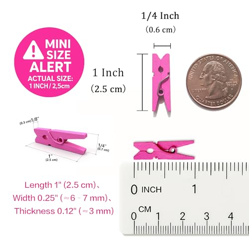 LWR CRAFTS Wooden Mini Clothespins 100 Per Pack 1" 2.5cm (Hot Pink) - color: Hot Pink