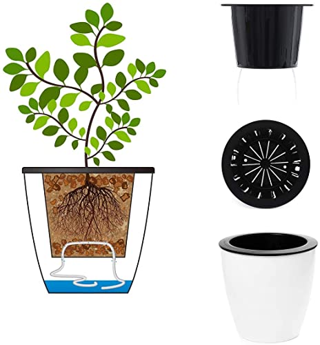 3.5“ Self Watering Planter White Flower Pot, 3 Pcs Small Planter Pot, Mini Plant Pot, for All Plants, Herbs, African Violets, Succulents, Flowers Or Start Plants, White, 3 inch - size: 3.5 Inch