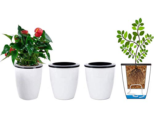 5.2“ Self Watering Planter White Flower Pot, 3 Pcs Medium Planter Pot, Mini Plant Pot, for All Plants, Herbs, African Violets, Succulents, Flowers Or Start Plants, White, 5 inch - size: 5.2 Inch