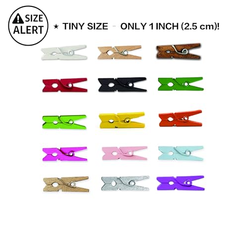 LWR CRAFTS Wooden Mini Clothespins 15 Colors 100 Per Pack 1" 2.5cm (All) - color: Multicolor