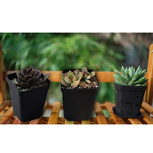 OJYUDD 24 Pack 3 Inch Black Nursery Pot Flower Pots Square Plastic Plant Pot Plastic Starter Pots with Saucer Basket Indoor Outdoor for Your Room,Garden Office and Balcony Decor - size: 24 Pack Black