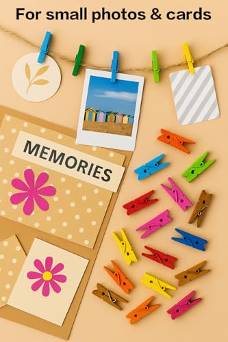 LWR CRAFTS Wooden Mini Clothespins 15 Colors 100 Per Pack 1" 2.5cm (All) - color: Multicolor