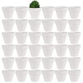 Yishang 1.9 Inch Tiny White Terracotta Pots Pack of 36-Small Mini White Clay Pots with Drainage Holes Flower Nursery Terra Cotta Planter for Tiny Cactus,Herb,Succulent Plants,Crafts - color: White