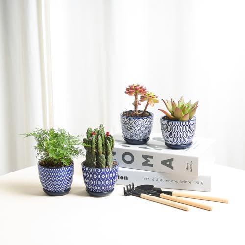 Selamica Ceramic Succulent Pots, 3.5 Inch Small Plant Pots for Indoor Plants Cactus Herbs, Succulent Planters with Drainage Holes & Saucers, Home Decor, Set of 6, Vintage Blue - color: Vintage Blue, size: 3.5 Inch, Set of 6