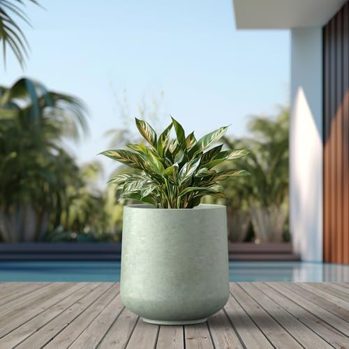 Kante Large Round Curved Mint Green Concrete Planter 16.5" Dia, Outdoor - color: Mint Green, size: 15.3" D