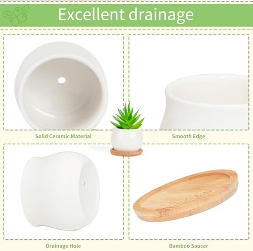 SHECIPIN 24 Pcs 2.5 Inch Small Succulent Pots with Drainage & Bamboo Trays - Assorted Small Succulent Planters Bulk for Home Office Garden Decor - color: 24pcs White