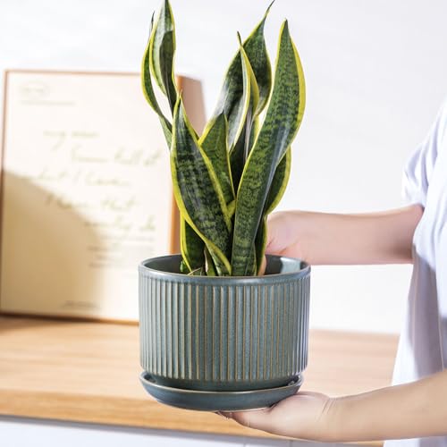SURE YUESI Ceramic Plant Pots Set of 3, Indoor Outdoor Planters with Drainage Hole and Saucer, Ceramic Flower Pots for Indoor Plants, 4.3+5.5+6.8 Inch, Home, Garden, Patio and Office, Matte Green - color: Matt Green