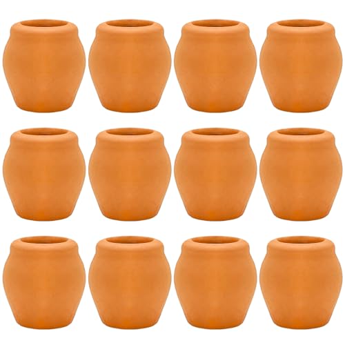 ONEST 12 Pieces Miniature Tiny Clay Pots Mini Flower Pottery Planter for DIY Garden Plants Office Home Decoration - color: 12 Pieces