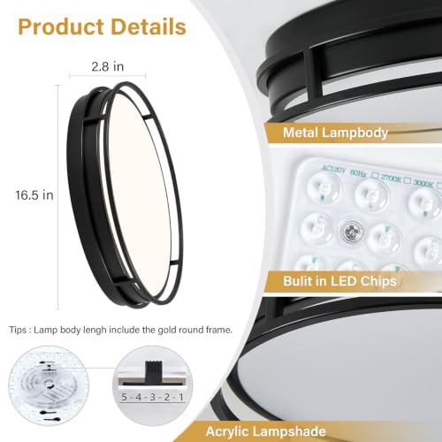 Modern Flush Mount Ceiling Light, Black Dimmable Ceiling Light Fixture - color: Black, size: 16.5in