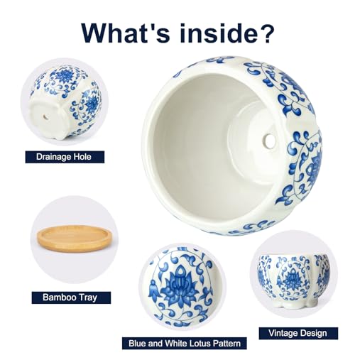 3.1 Inch Flower Pots Succulent Pots with Drainage Bamboo Tray Set of 6 - color: Blue-porcelain-hexagon-petal