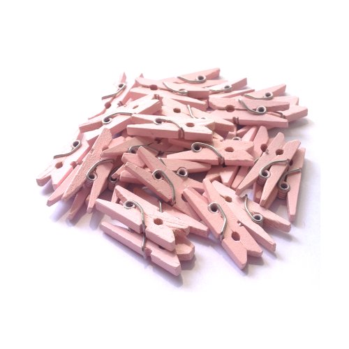LWR CRAFTS Wooden Mini Clothespins 100 Per Pack 1" 2.5cm (Light Pink) - color: Light Pink