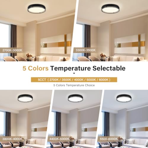 Modern Flush Mount Ceiling Light, Black Dimmable Ceiling Light Fixture - color: Black, size: 16.5in