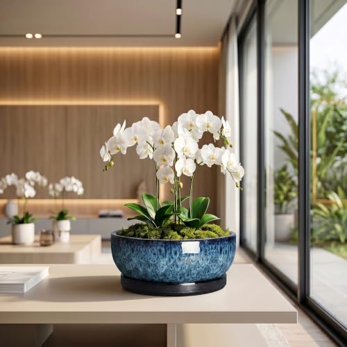 Bonsai Pots, 10 Inch Ceramic Succulent Pots with Saucer, Blue - color: Blue, size: 10 Inch