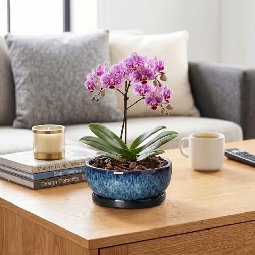 Bonsai Pots 8 Inch, Ceramic Succulent Pots with Saucer, Blue - color: Blue, size: 8 Inch