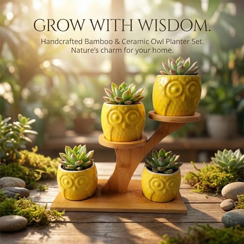 Blisse Ceramic/Wood Decorative Owl Planter for Succulents, Cactus, and Other Small Flowers, Set of 4 Same Colored Owls (Yellow) - color: Yellow